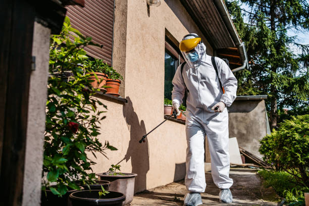 Best Affordable Pest Control Services  in Orrville, OH
