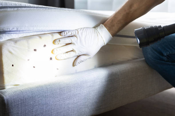 Best Wildlife Control Services  in Orrville, OH