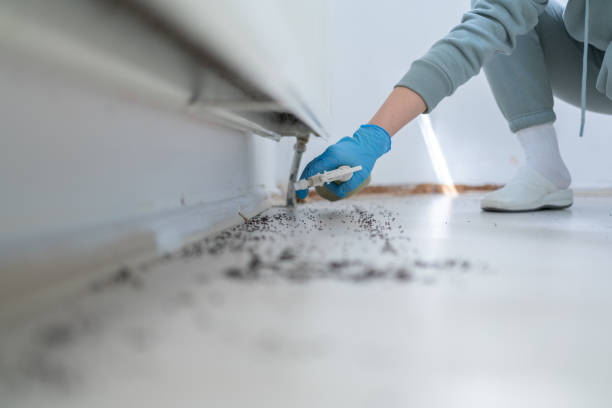 Best Emergency Pest Control  in Orrville, OH